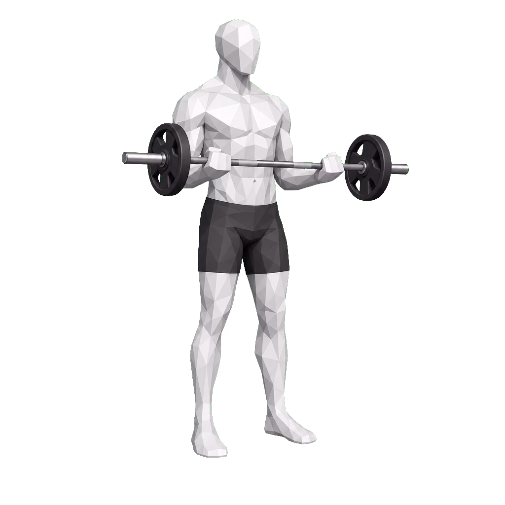 Barbell Curl demonstration