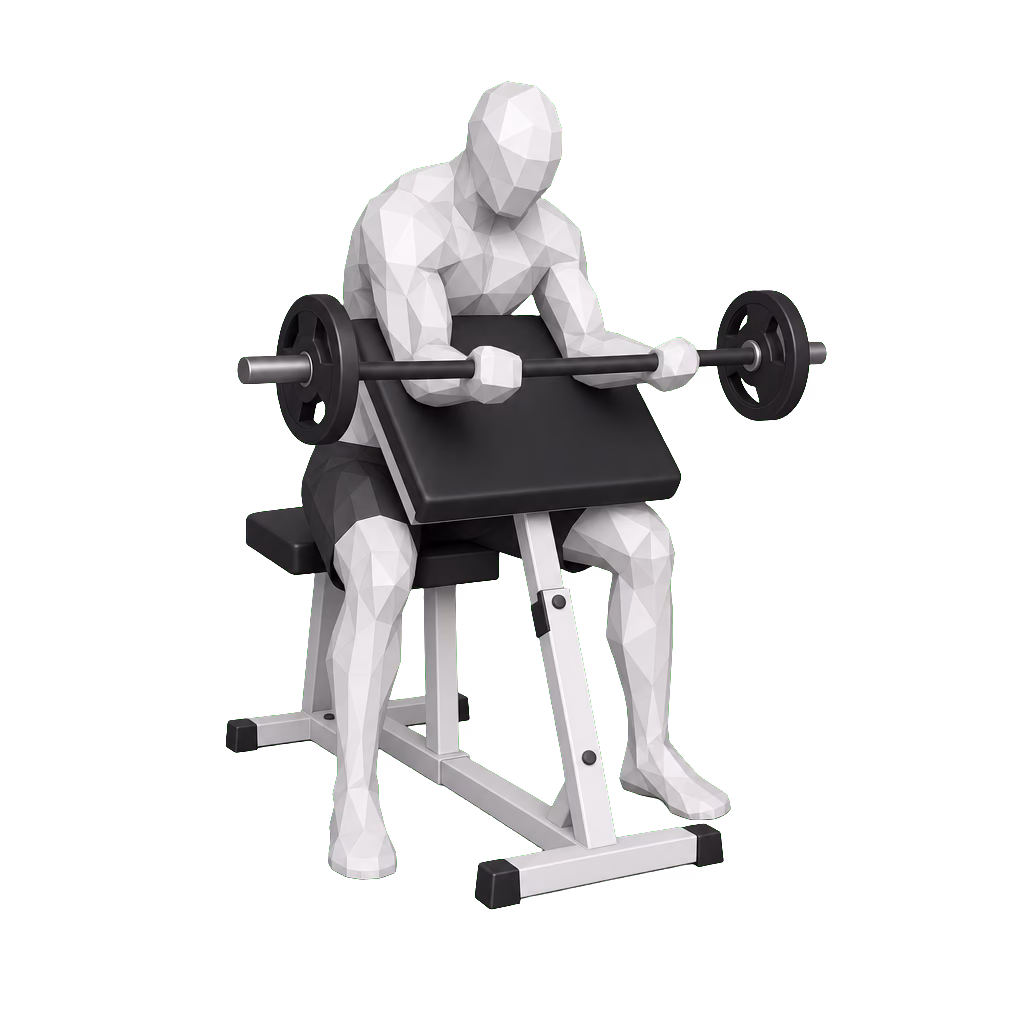 Barbell Preacher Curl demonstration