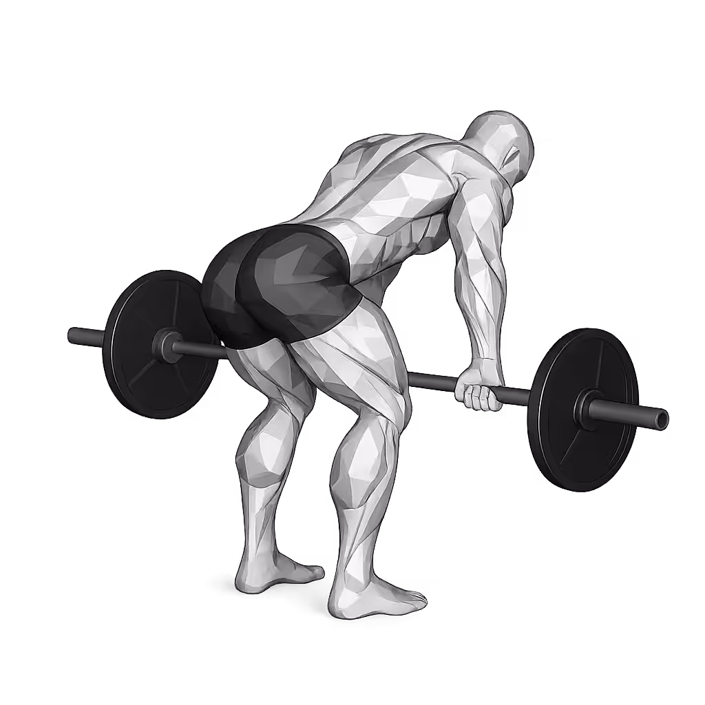 Barbell Rear Delt Row demonstration