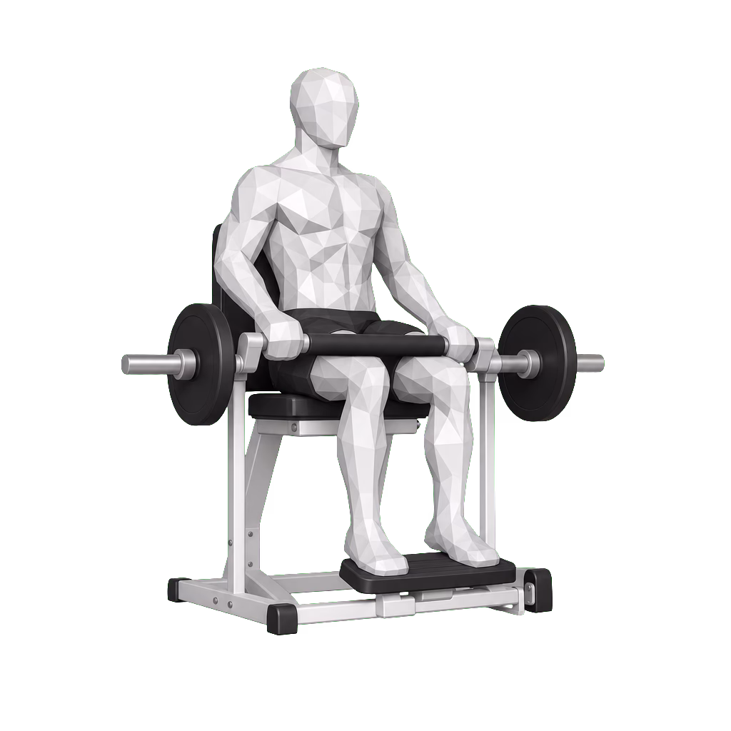 Barbell Seated Calf Raise demonstration
