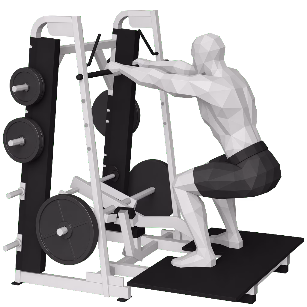 Belt Squat demonstration