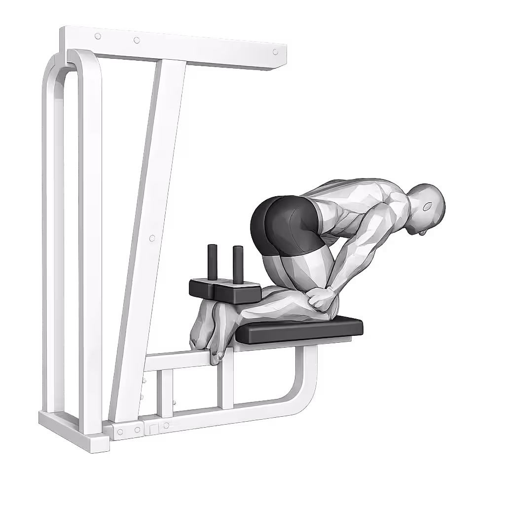 Bodyweight Leg Curl demonstration