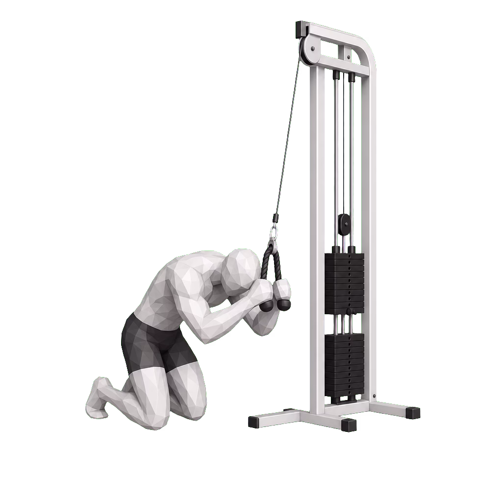 Cable Crunch demonstration