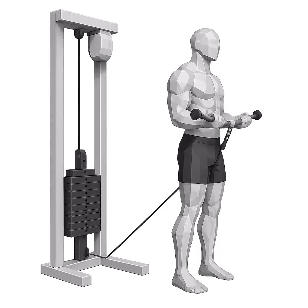 Cable Curl demonstration