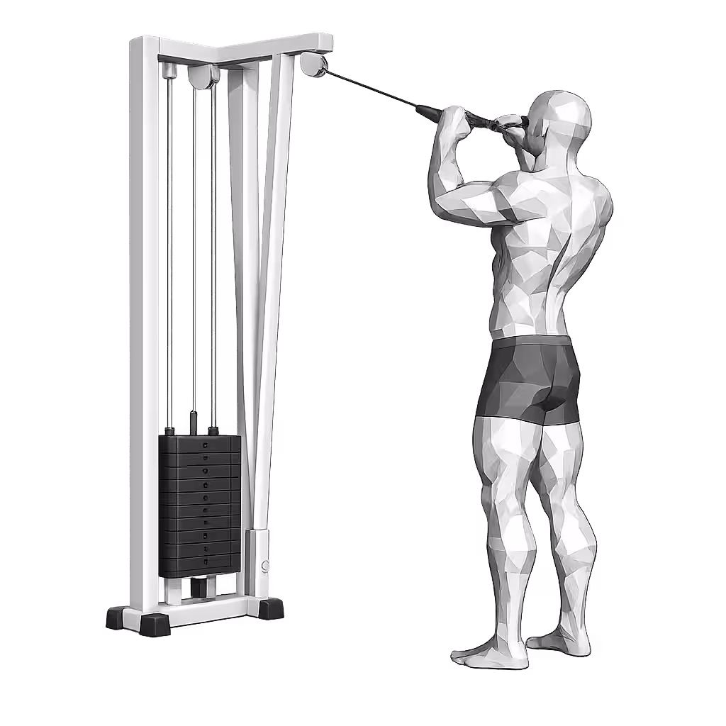 Cable Face Pull demonstration