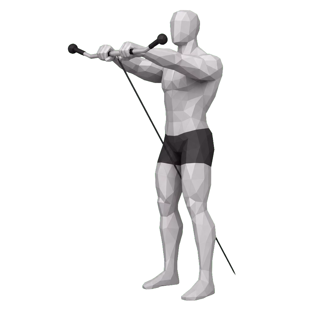 Cable Front Raise demonstration