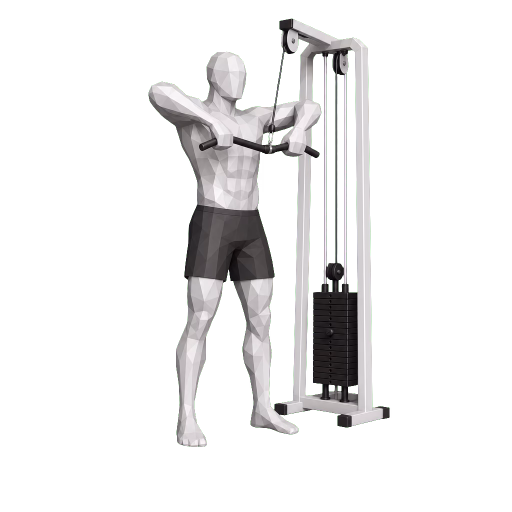 Cable Upright Row demonstration