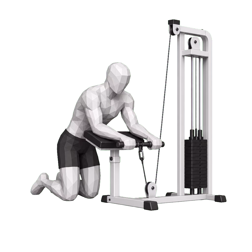 Cable Wrist Curl demonstration