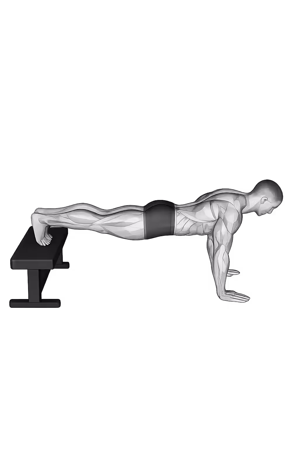Decline Push-Up demonstration