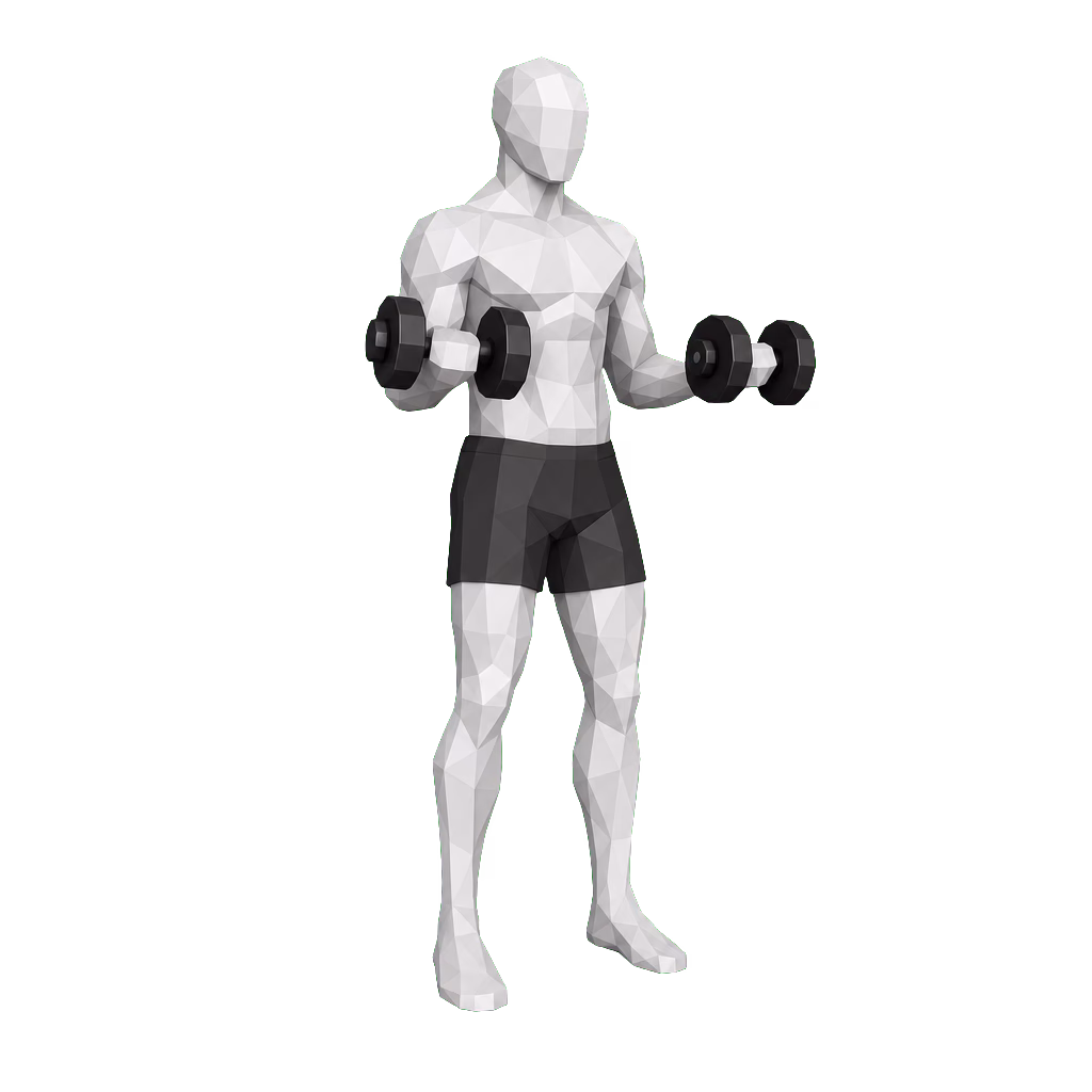 Dumbbell Curl demonstration