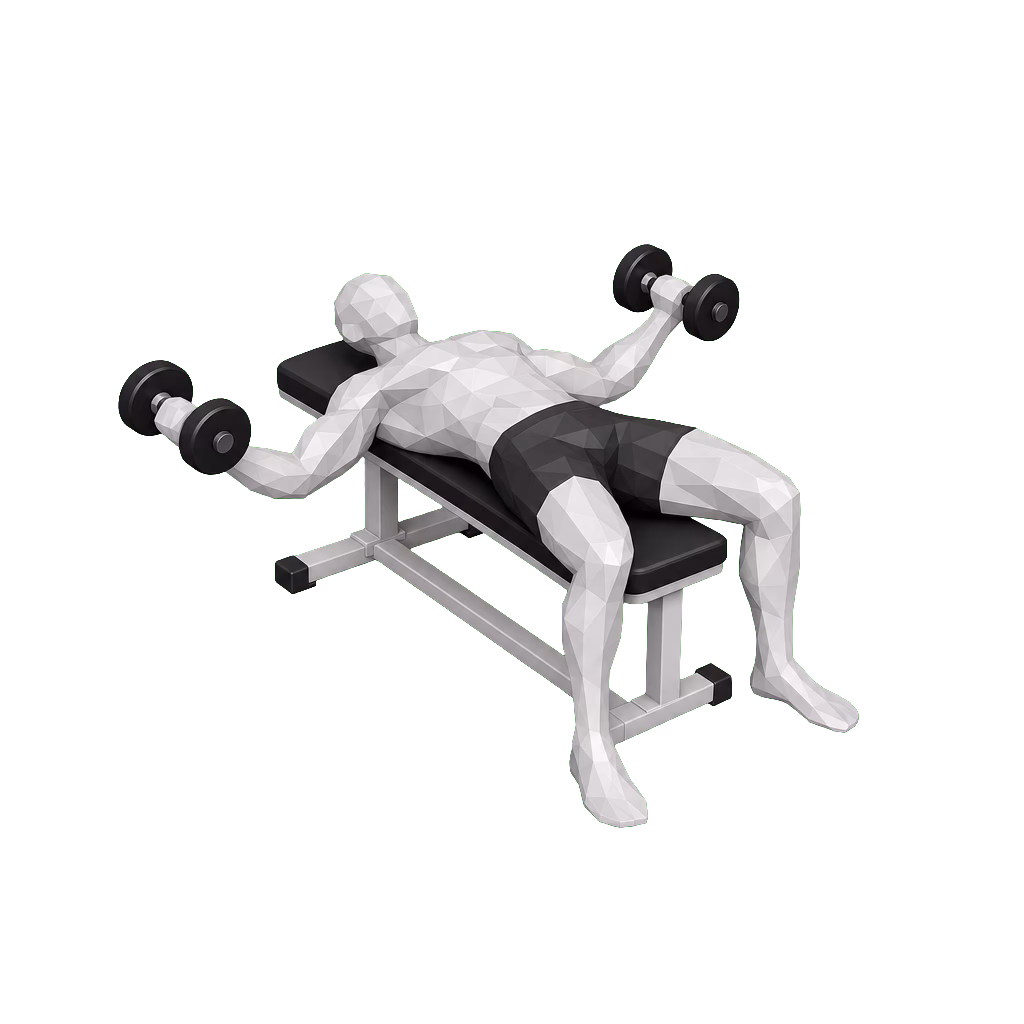 Dumbbell Flye demonstration