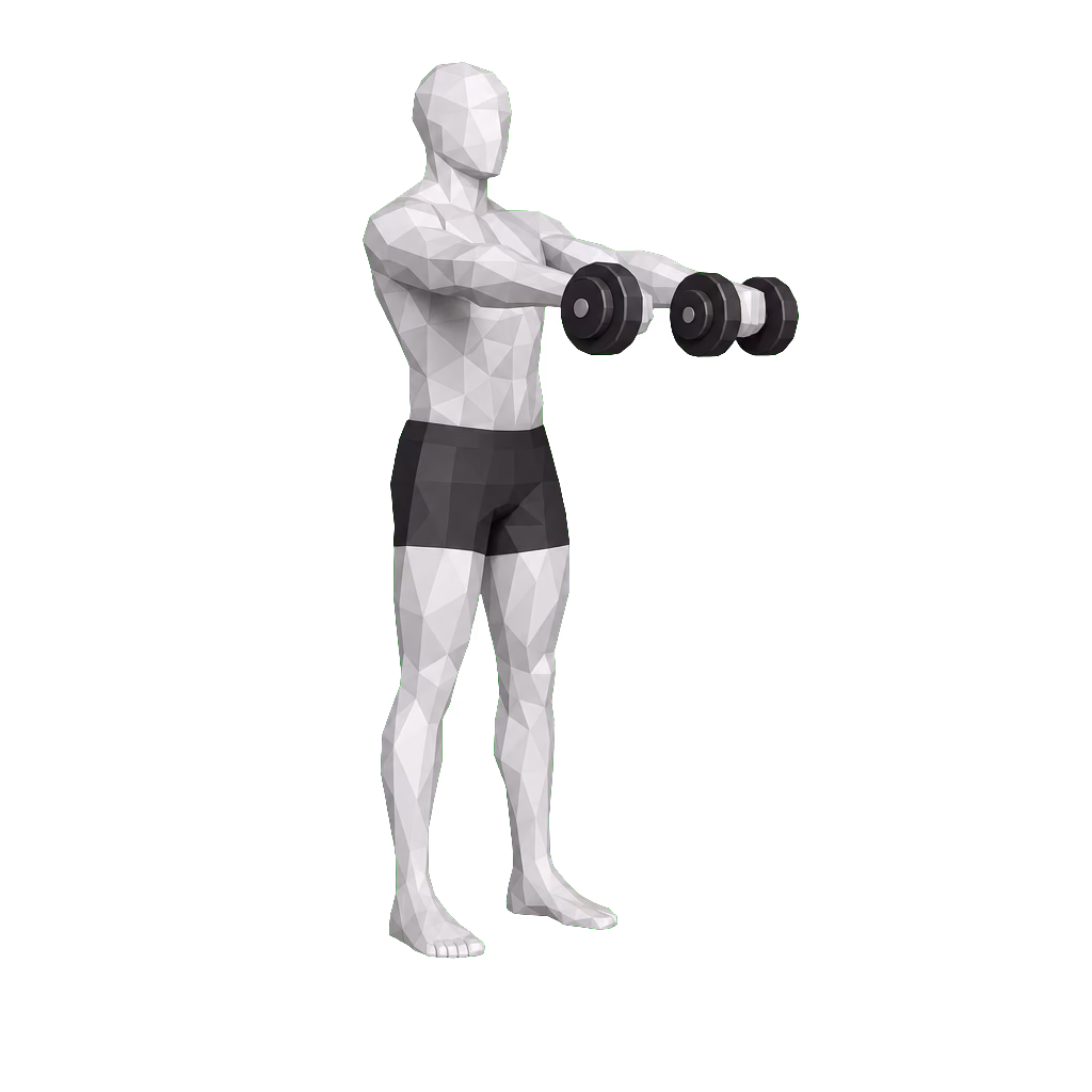 Dumbbell Front Raise demonstration