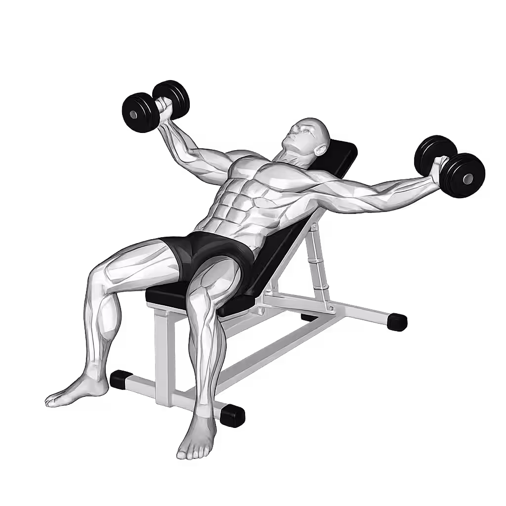 Dumbbell Incline Flye demonstration