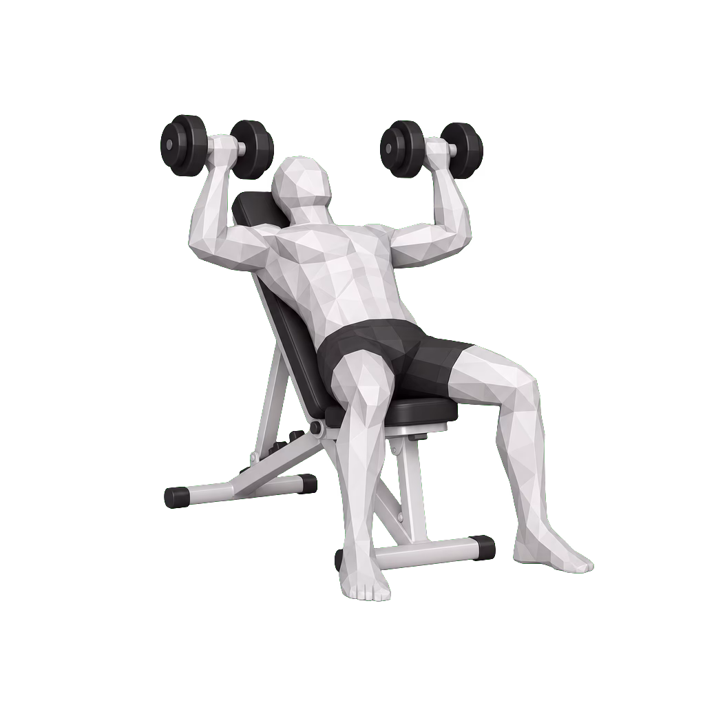 Dumbbell Incline Press demonstration