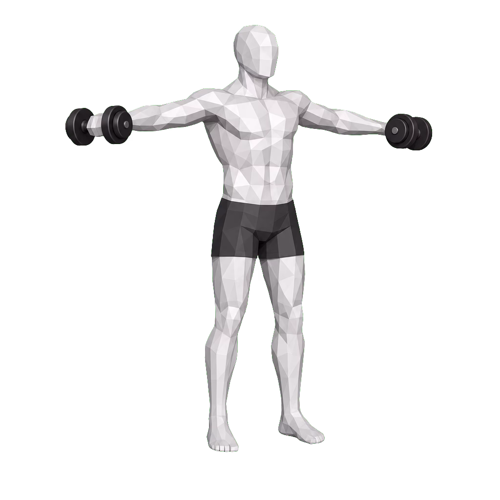 Dumbbell Lateral Raise demonstration