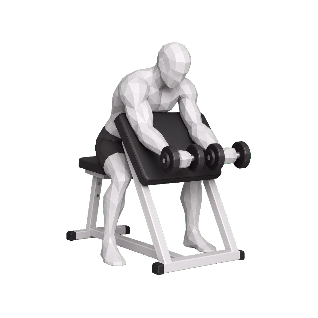 Dumbbell Preacher Curl demonstration