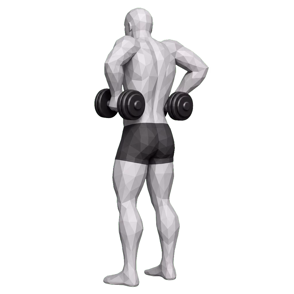Dumbbell Rear Delt Raise demonstration