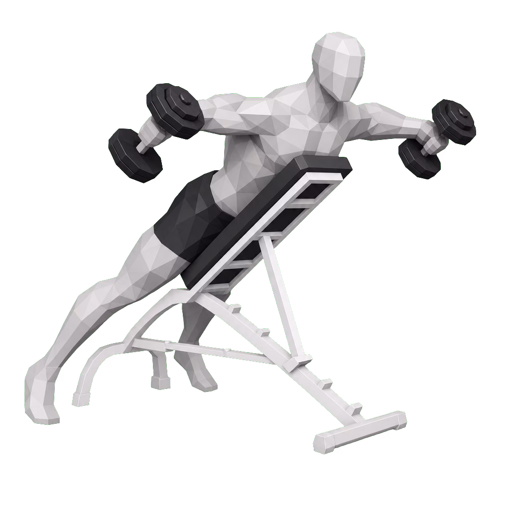 Dumbbell Reverse Fly demonstration