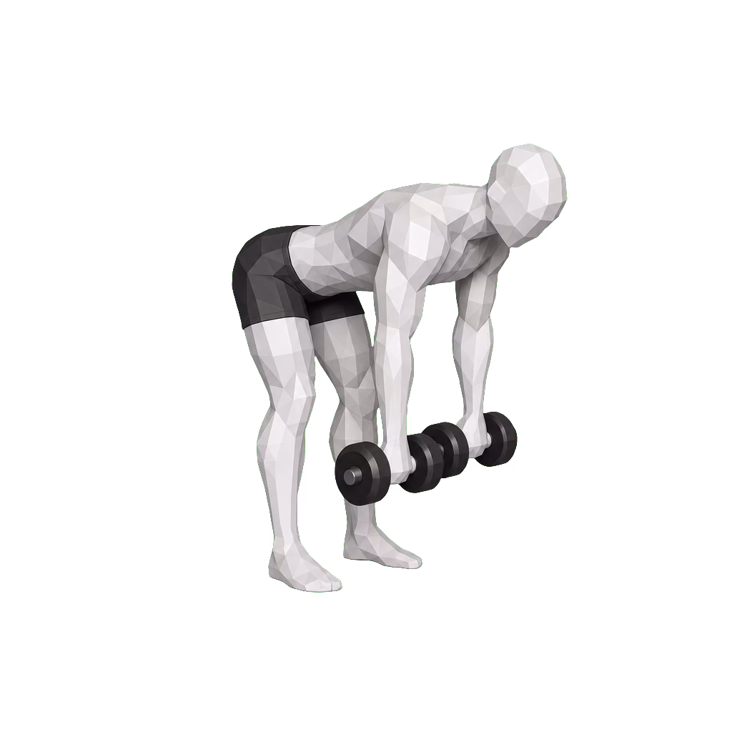Dumbbell Romanian Deadlift demonstration