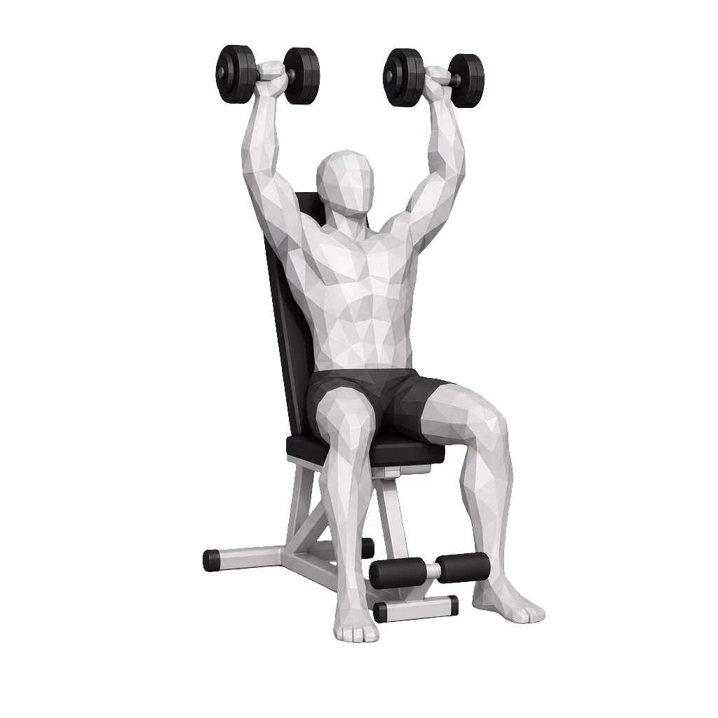 Dumbbell Shoulder Press demonstration