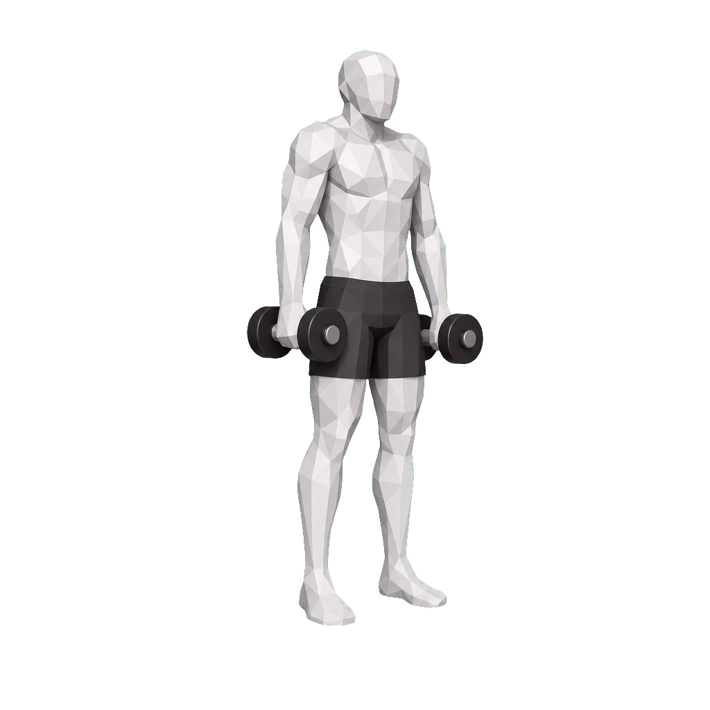 Dumbbell Shrug demonstration