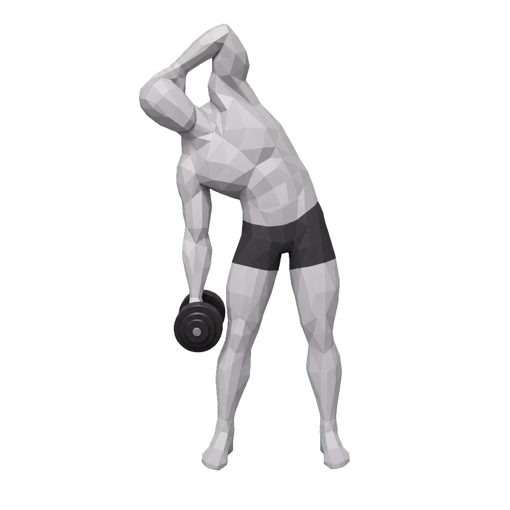 Dumbbell Side Bend demonstration