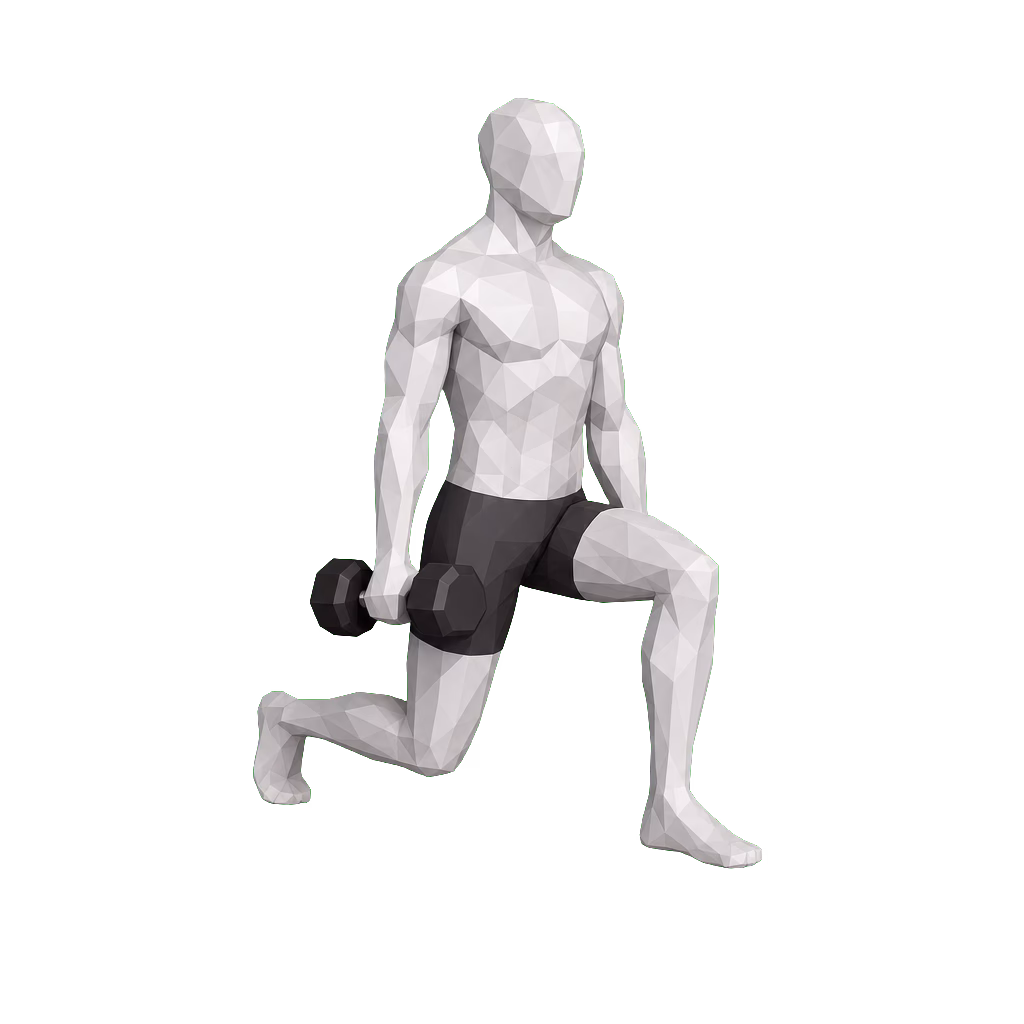 Dumbbell Split Squat demonstration