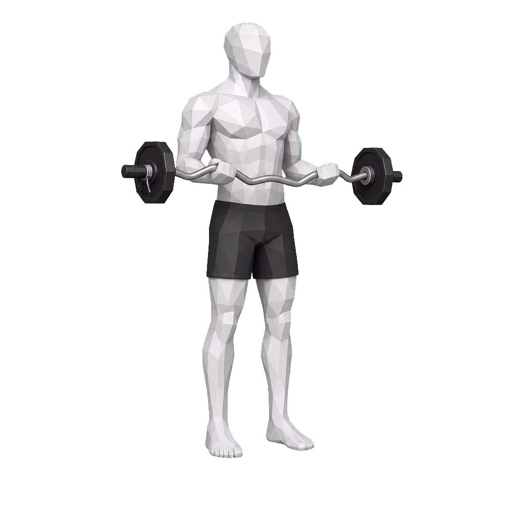 EZ-Bar Curl demonstration