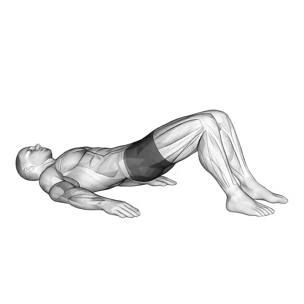 Glute Bridge demonstration