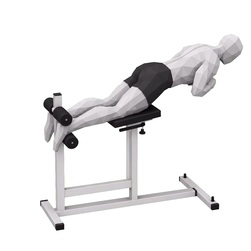 Glute-Ham Raise demonstration