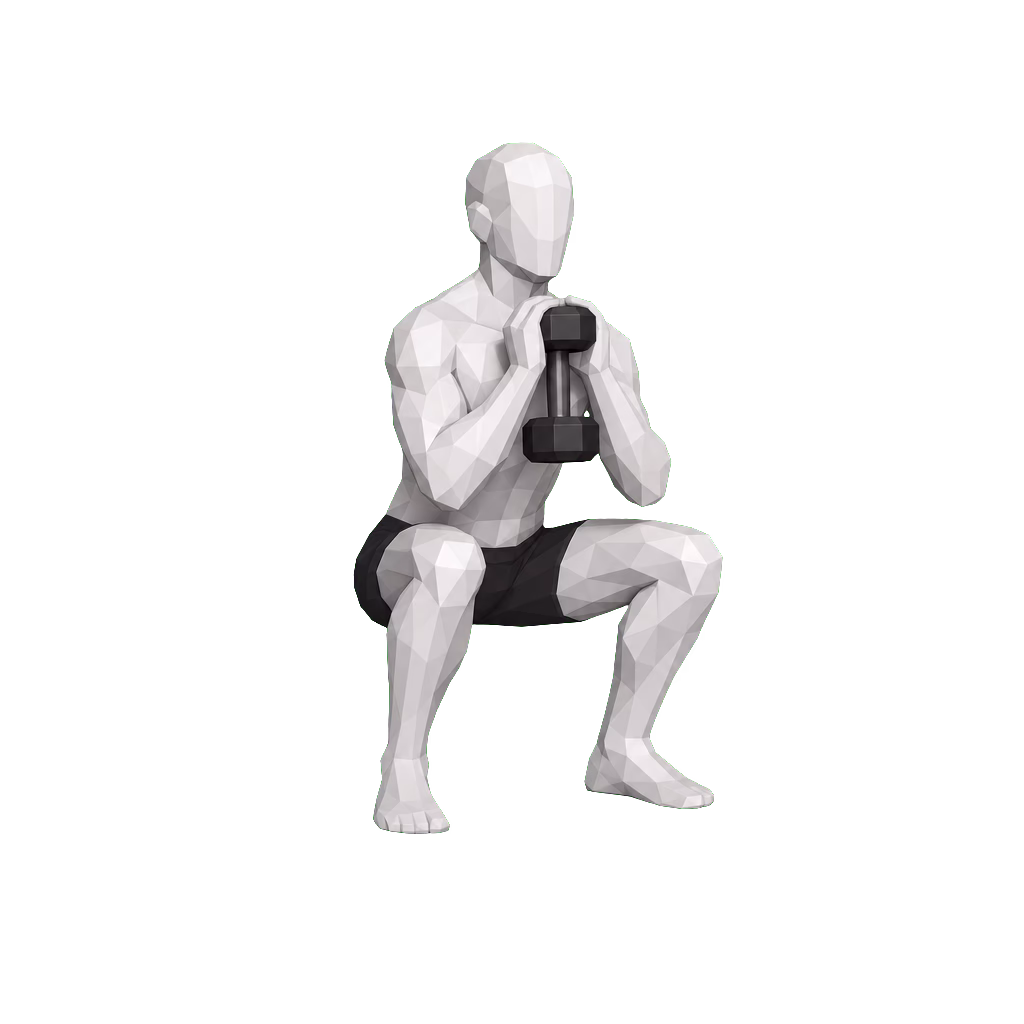Goblet Squat demonstration