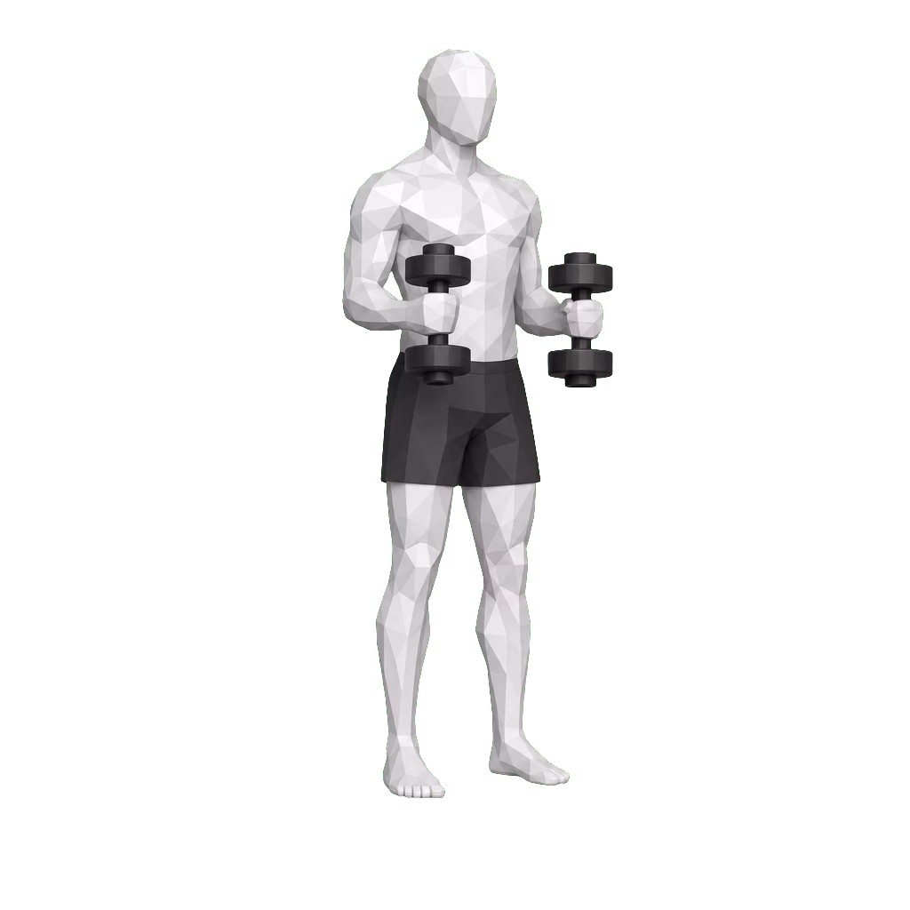 Hammer Curl demonstration