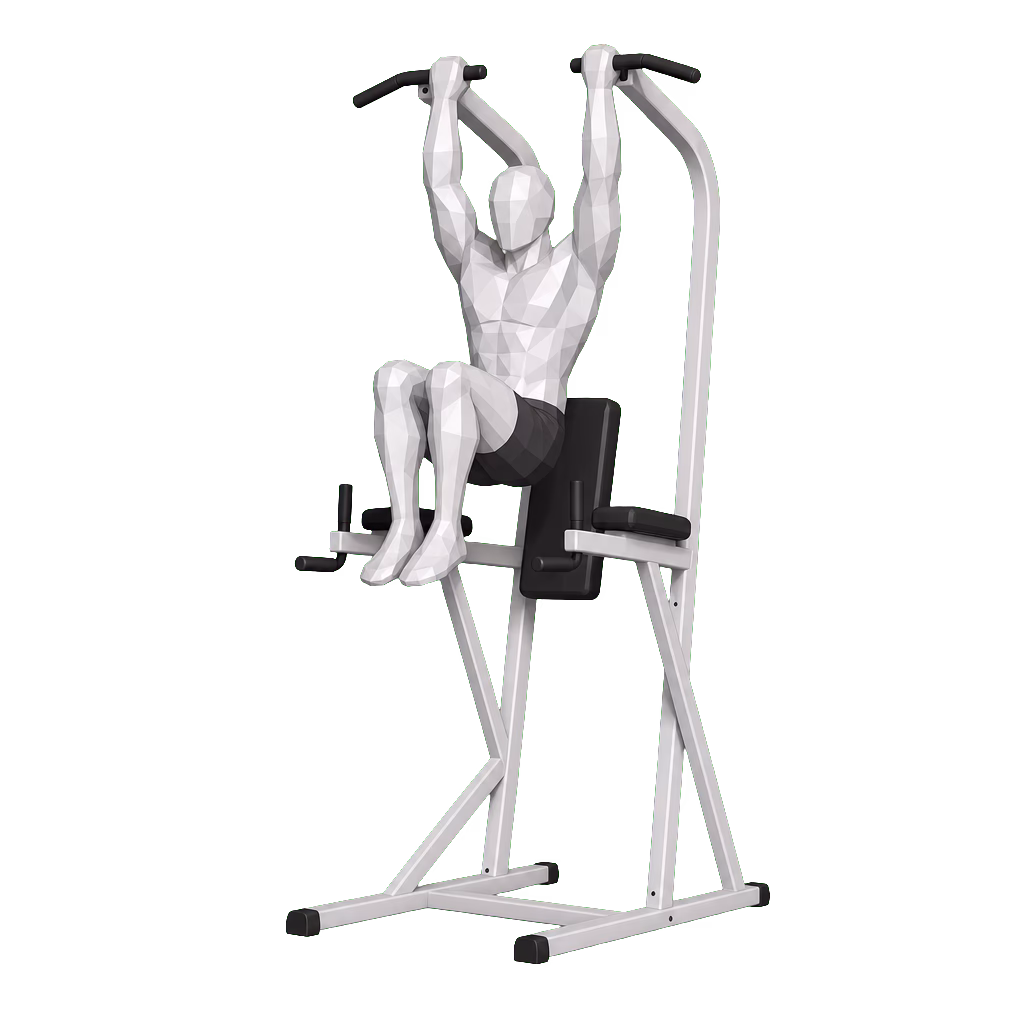 Hanging Knee Raise demonstration