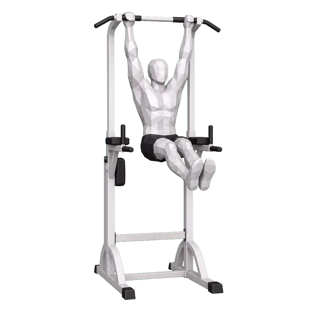 Hanging Leg Raise demonstration