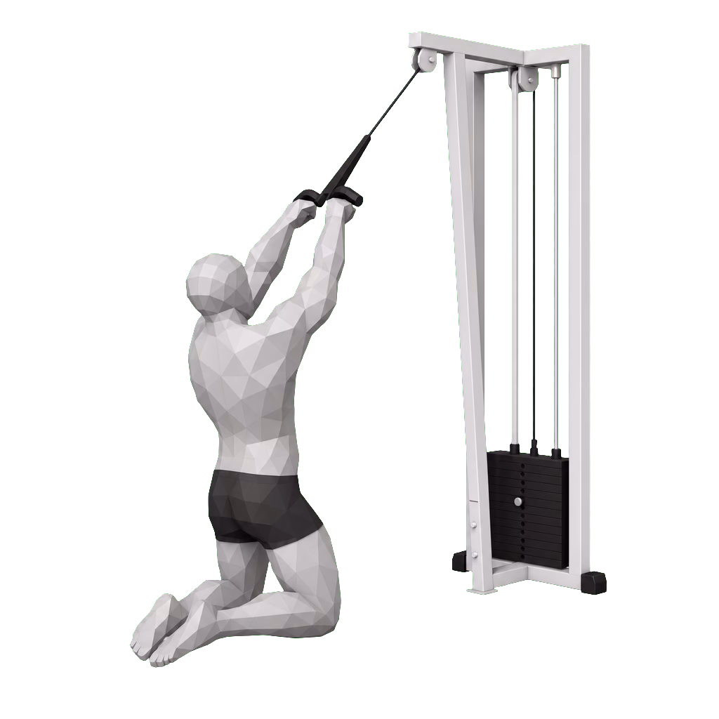 High Cable Row demonstration