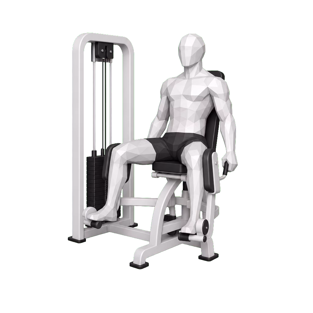 Hip Abduction Machine demonstration