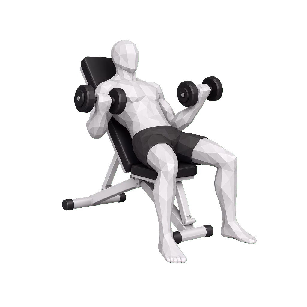 Incline Dumbbell Curl demonstration