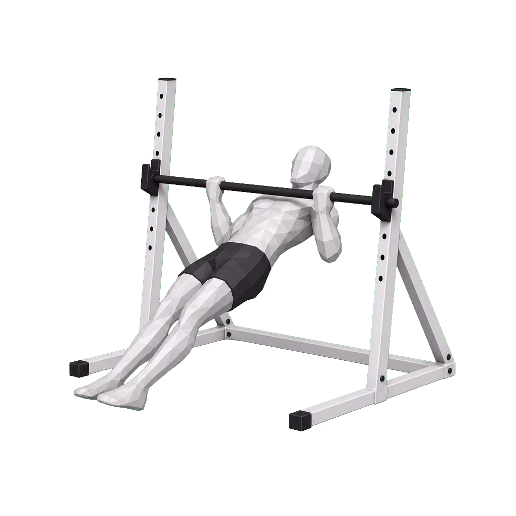 Inverted Row demonstration