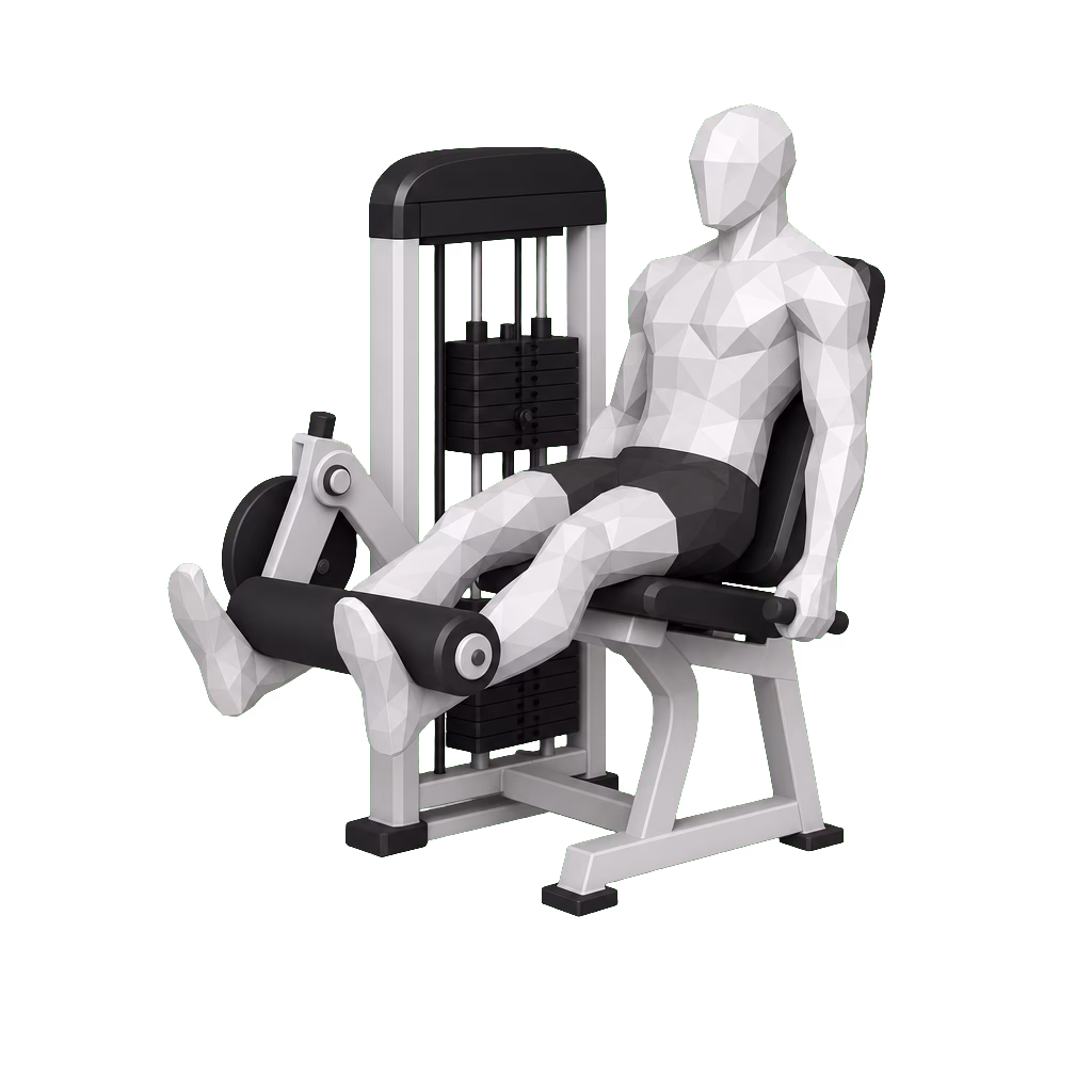Leg Extension demonstration
