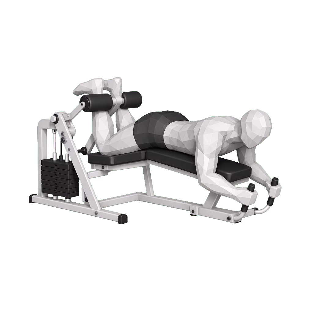 Lying Leg Curl demonstration