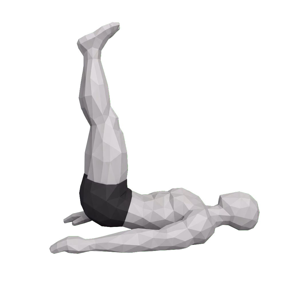 Lying Leg Raise demonstration