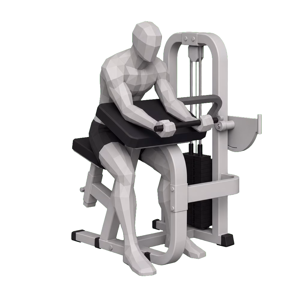 Machine Bicep Curl demonstration