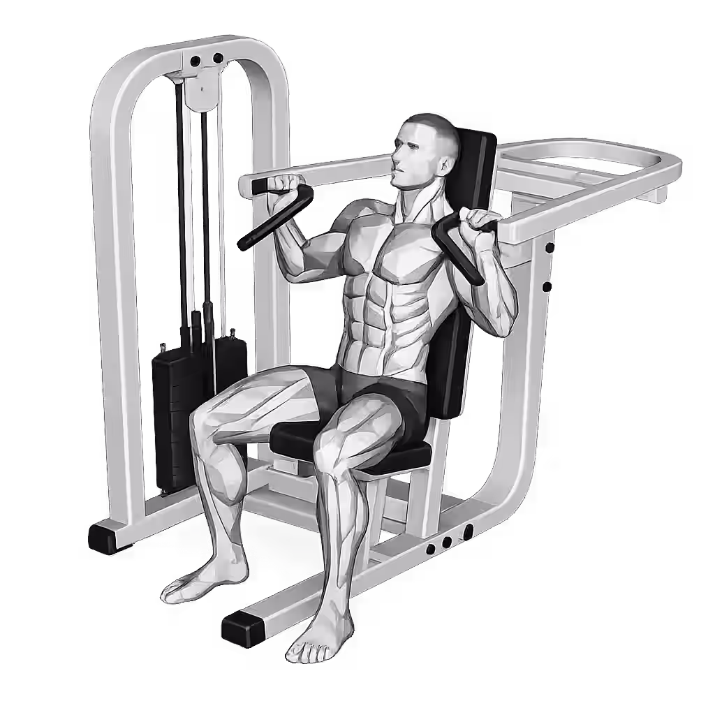 Machine Shoulder Press demonstration