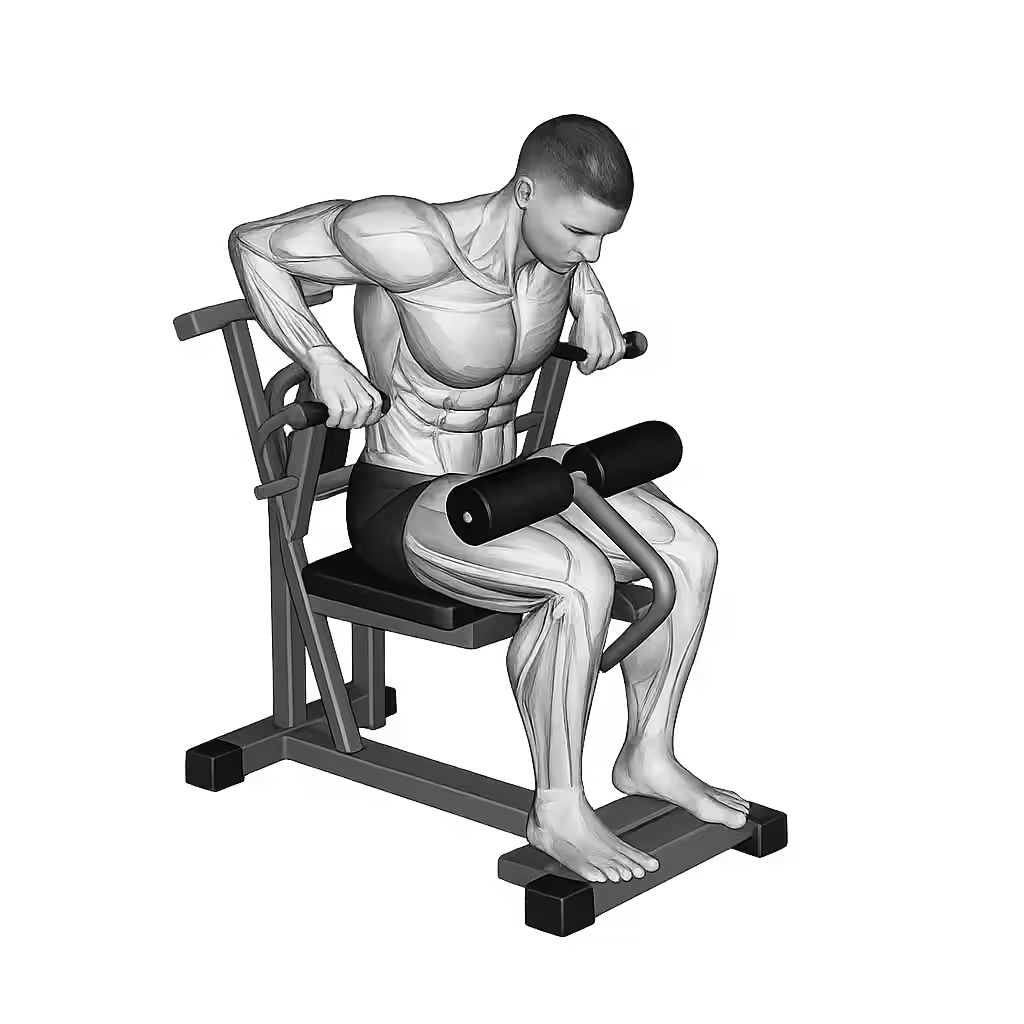 Machine Triceps Dip demonstration