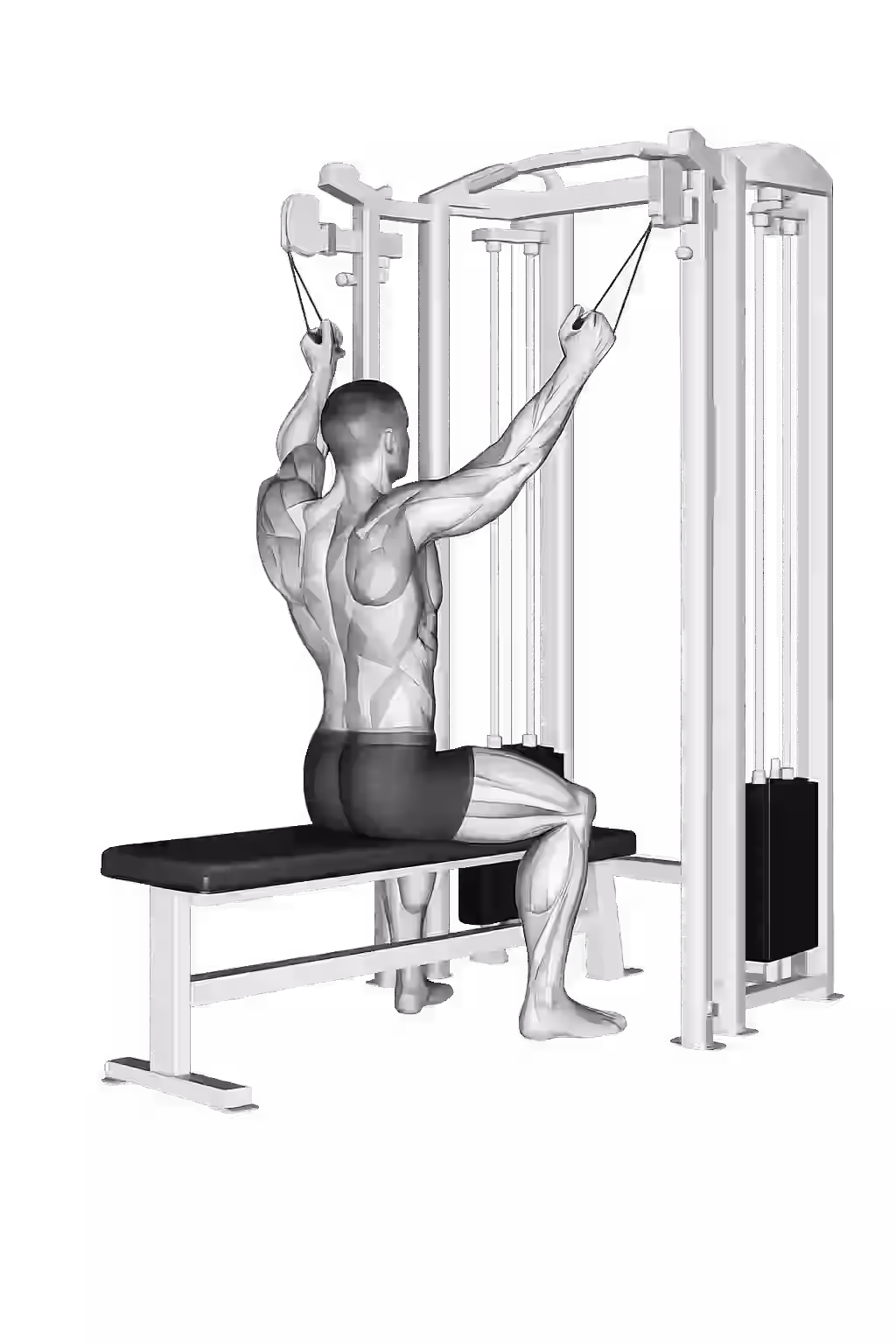 Neutral-Grip Pulldown demonstration