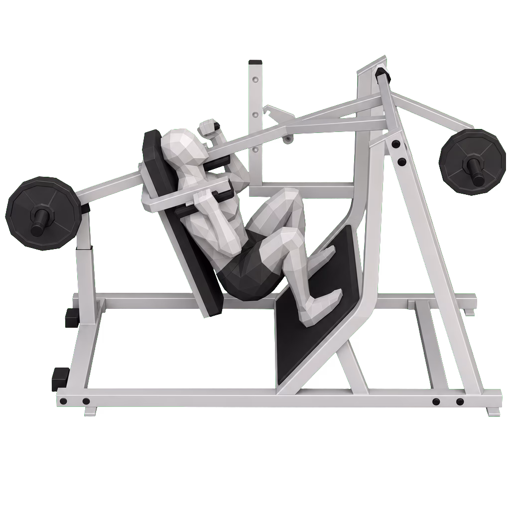 Pendulum Squat demonstration