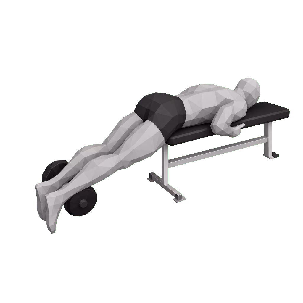 Reverse Hyperextension demonstration