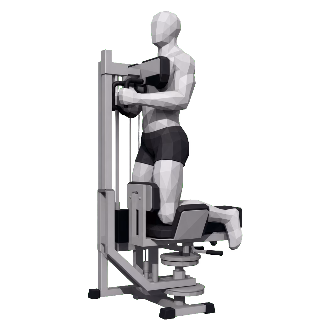 Rotary Torso Machine demonstration