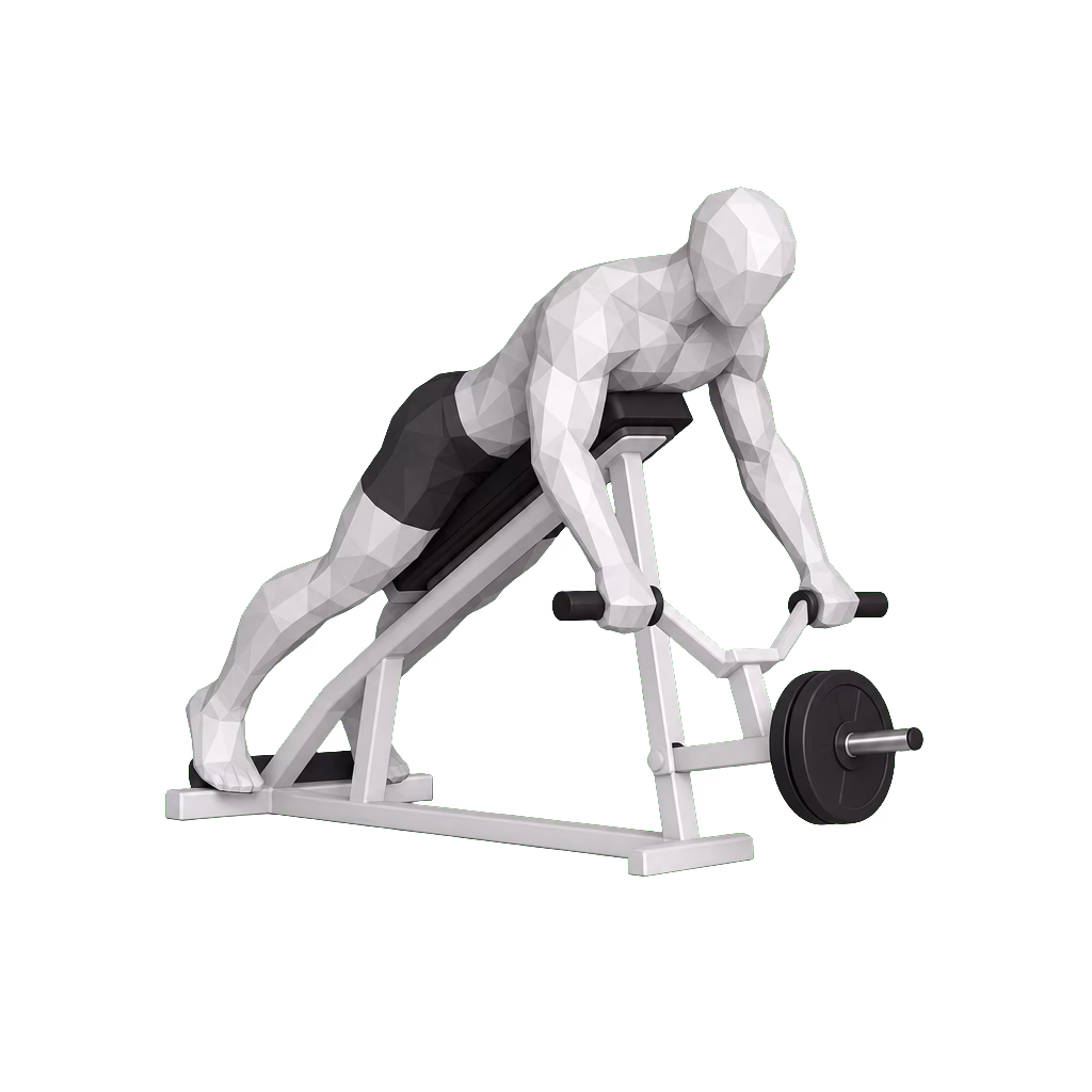 Seal Row demonstration