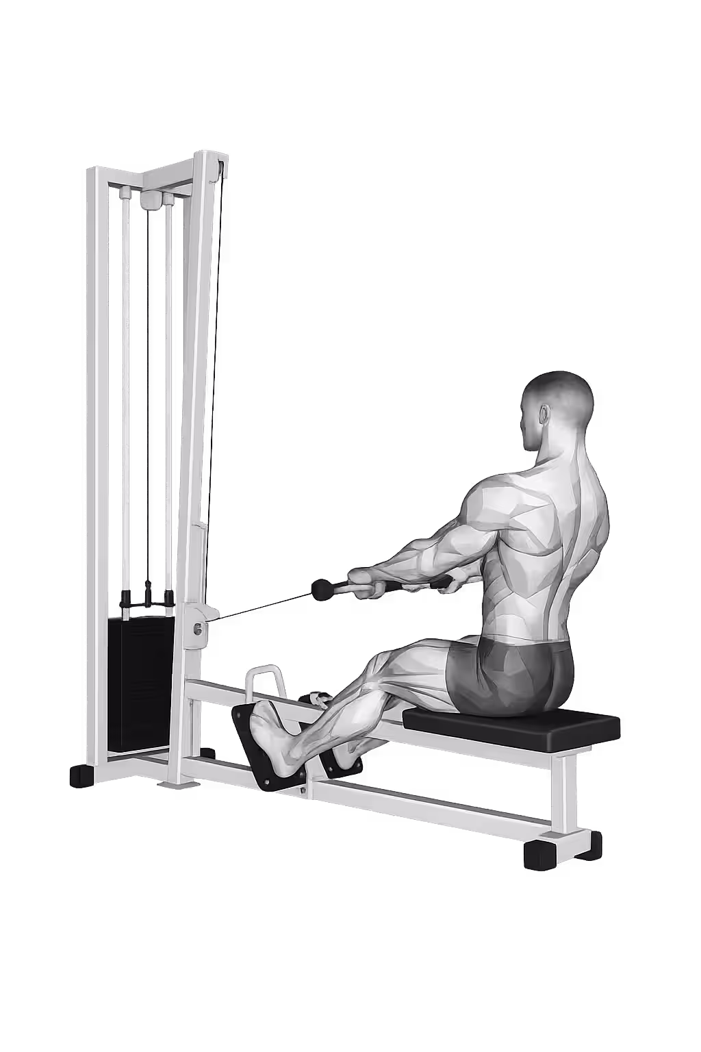 Seated Cable Row demonstration